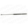 Gas Strut Landini Rear Window